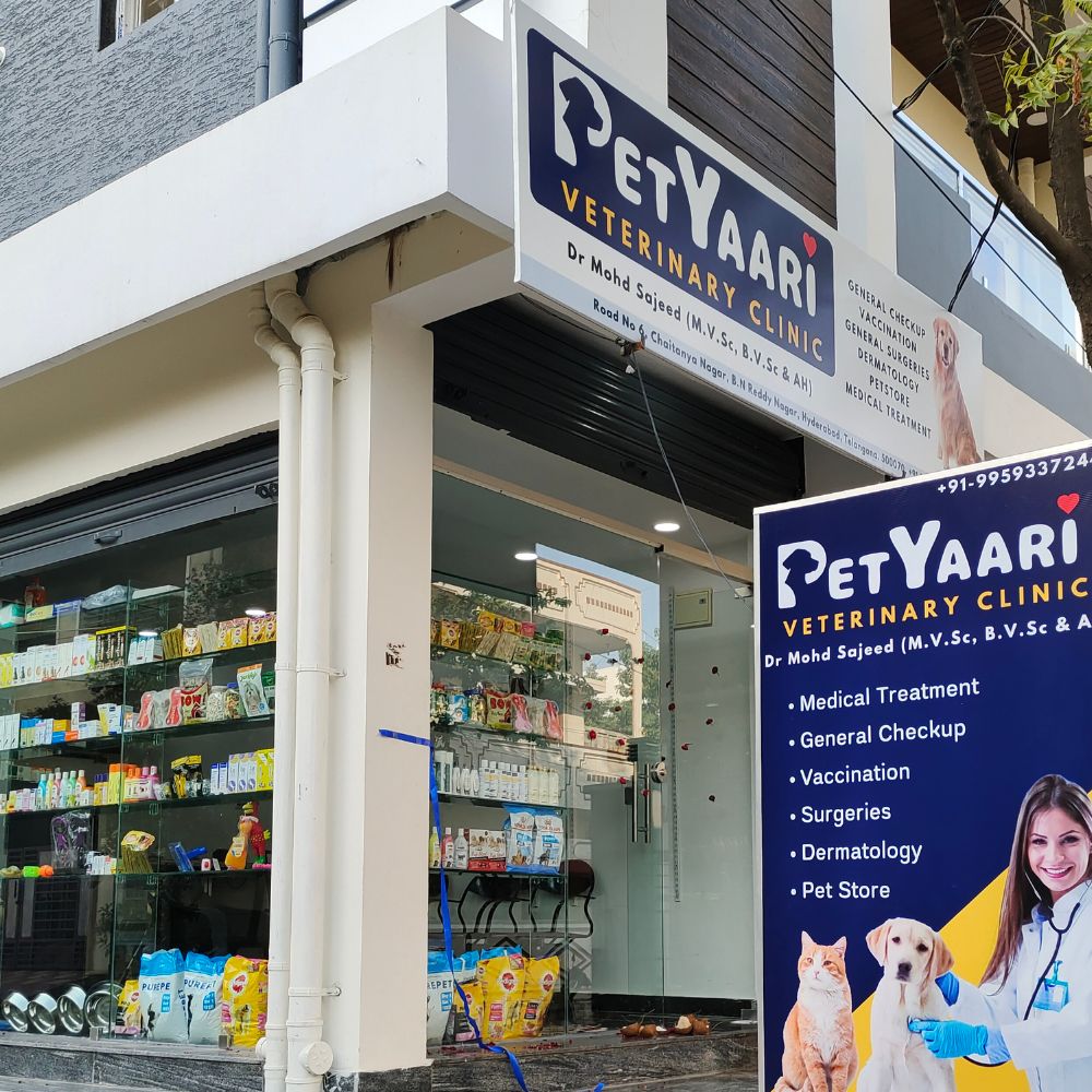 PetYaari BN Reddy Nagar - Top Pet Clinic in Hyderabad Petyaari Veterinary Clinic