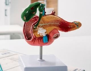 Canine Pancreatic Lipase (cPL) Canine Pancreatic Lipase (cPL)