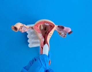 Culture Vaginal Swab and Sensitivity Culture Vaginal Swab and Sensitivity