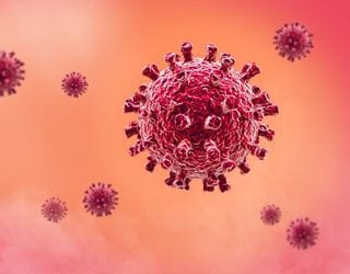 Herpes Virus, PCR Herpes Virus, PCR
