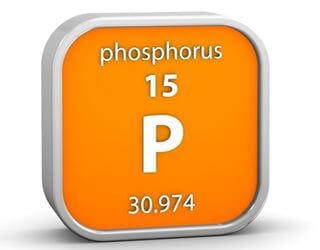 Phosphorus, Serum Phosphorus, Serum