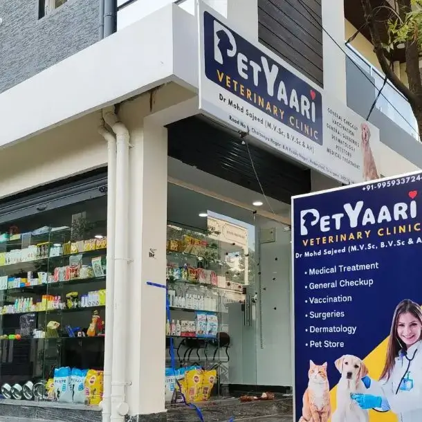 PetYaari Pet Clinic petyaari pet clinic hyderabad