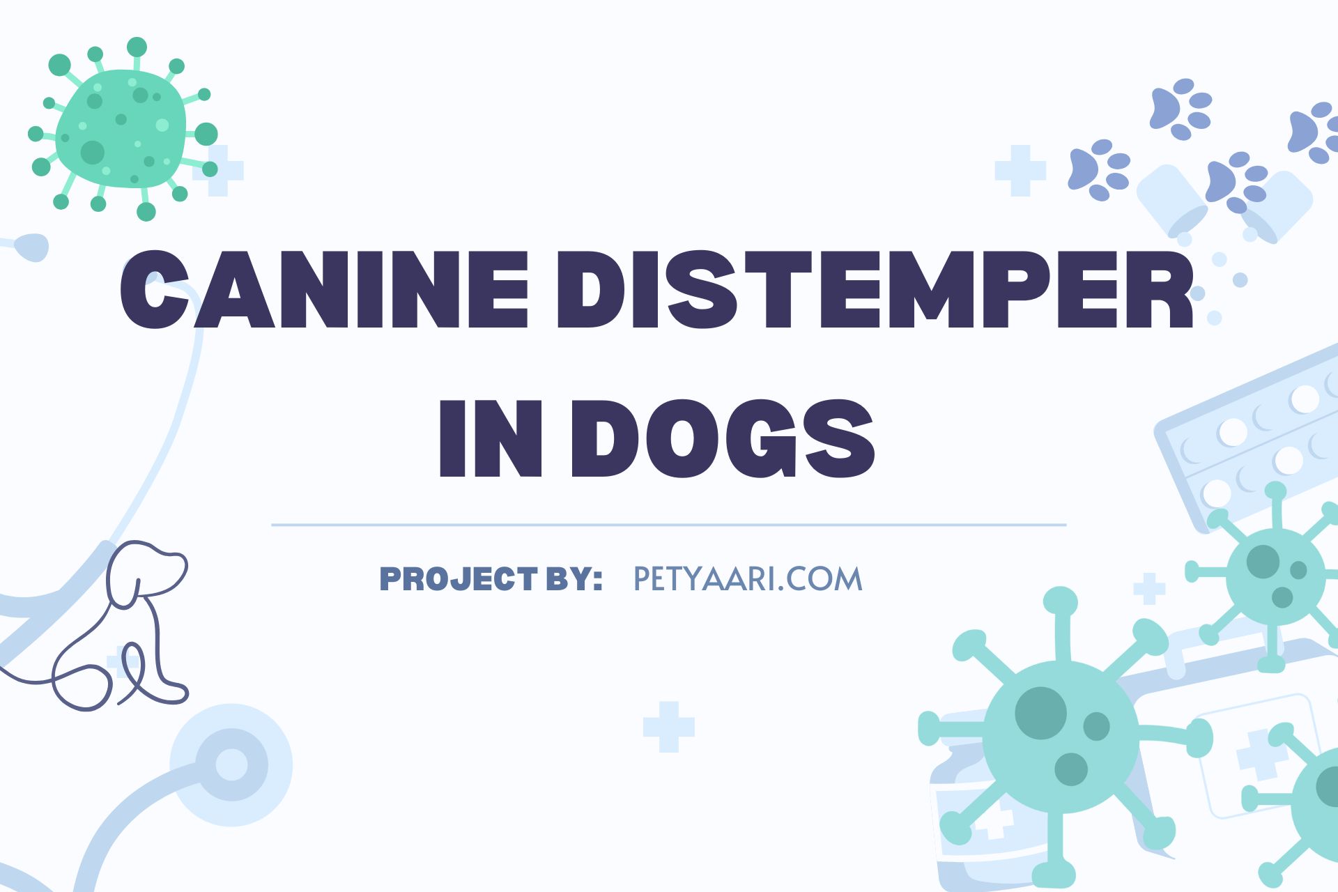 Canine Distemper in Dogs