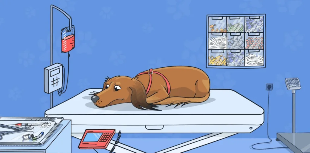 Blood Transfusion in Dogs: A Comprehensive Guide for Pet Owners Blood Transfusion in dogs cartoon
